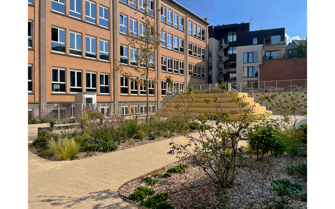 MABO sports infrastructure